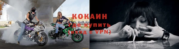 ПСИЛОЦИБИНОВЫЕ ГРИБЫ Рославль