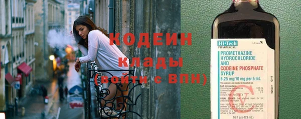 ПСИЛОЦИБИНОВЫЕ ГРИБЫ Рославль