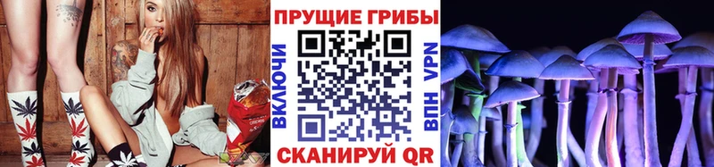 Галлюциногенные грибы Psilocybe  Купить закладки  Эртиль 